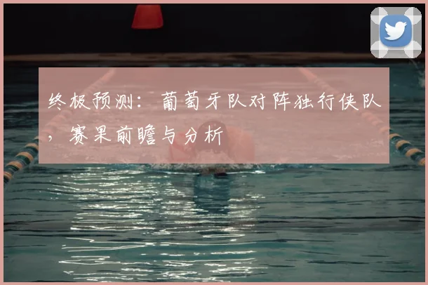 终极预测：葡萄牙队对阵独行侠队，赛果前瞻与分析