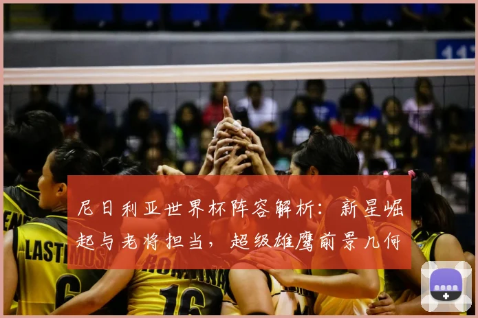 尼日利亚世界杯阵容解析：新星崛起与老将担当，超级雄鹰前景几何？